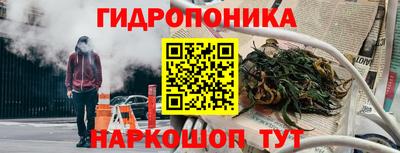 СК Мариинск