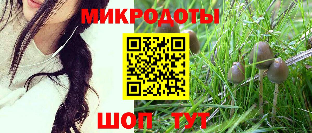Тара  Галлюциногенные грибы прущие грибы  Вход с VPN 