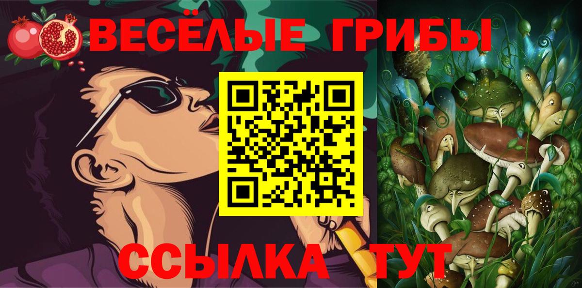 Псилоцибиновые грибы прущие грибы Тара